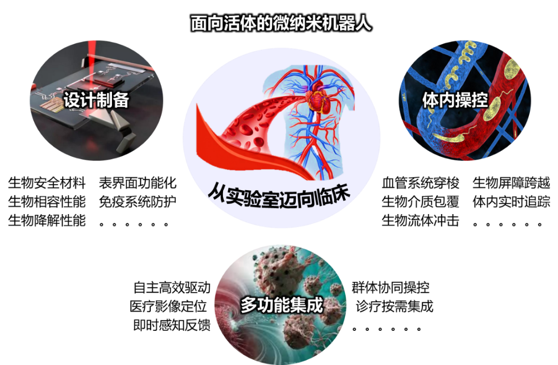 生物智能材料与微纳米机器人未来研究方向